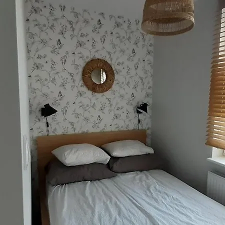 Oasis, Old Town * Elblag