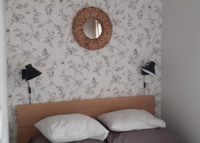 Oasis, Old Town Elbląg