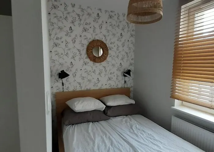 Oasis, Old Town * Elbląg